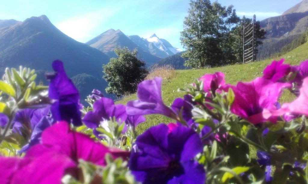 Ferienwohnung Hohe Wand هيليغنبلت المظهر الخارجي الصورة