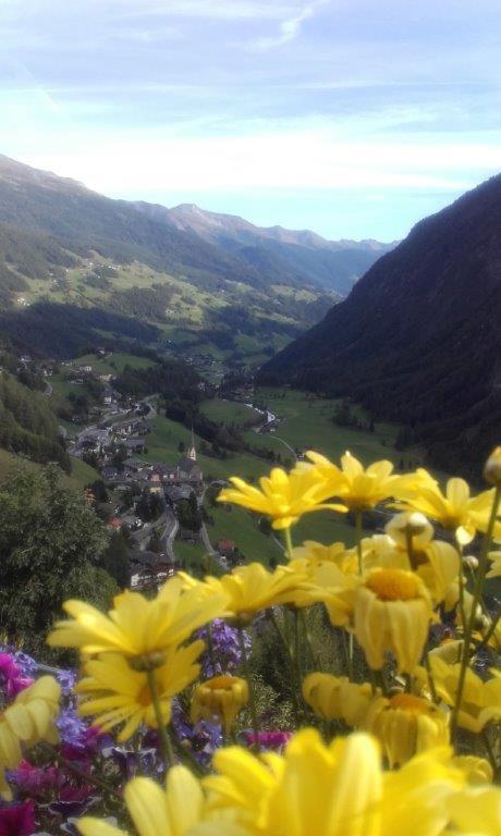 Ferienwohnung Hohe Wand هيليغنبلت المظهر الخارجي الصورة